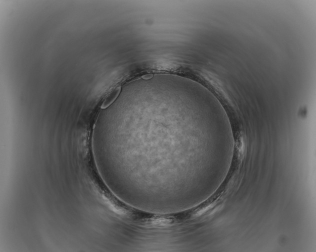 X0000090630462200707241156