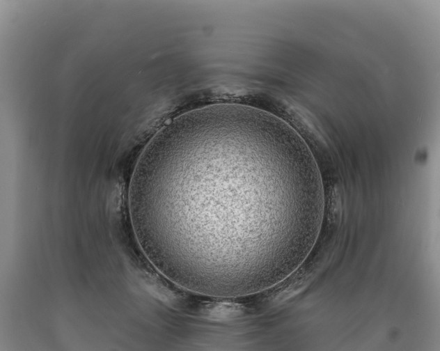 X0000090630463200707241156