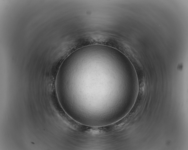 X0000090630464200707241156