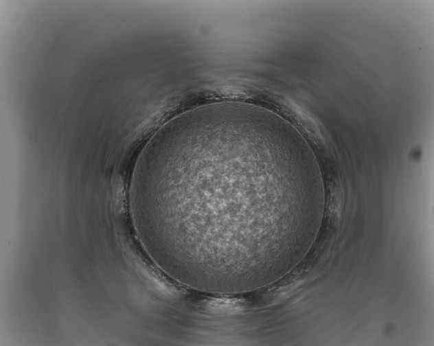 X0000090630465200707241156