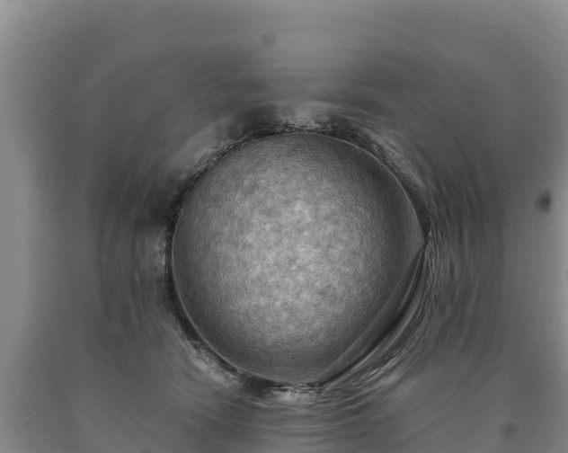 X0000090630466200707241156