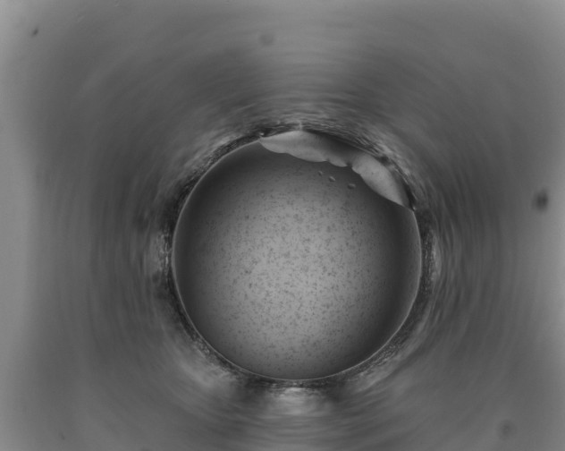 X0000090630467200707241156