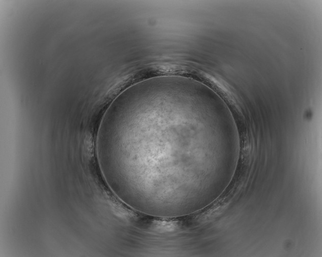 X0000090630469200707241156
