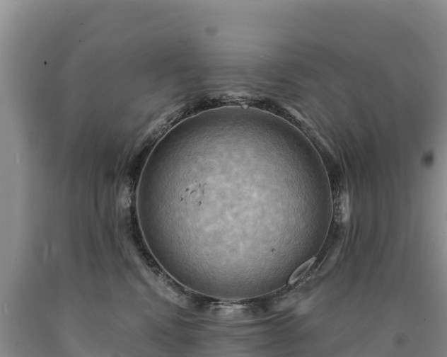 X0000090630472200707241156