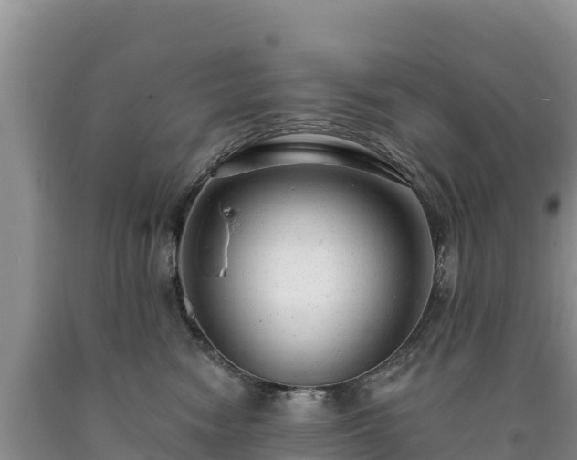X0000090630474200707241156