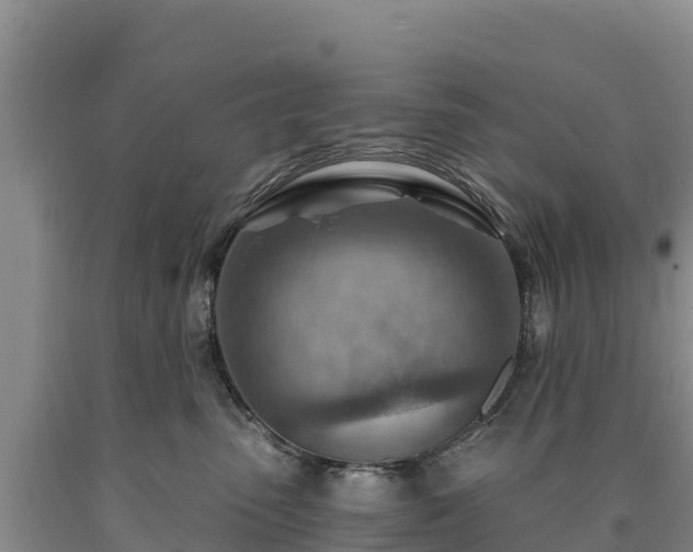 X0000090630475200707241156