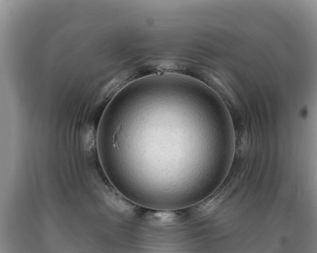 X0000090630478200707241156
