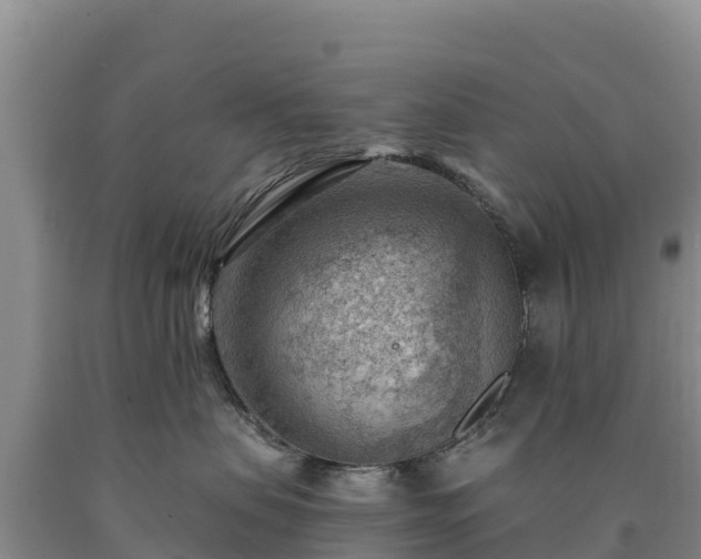 X0000090630479200707241156