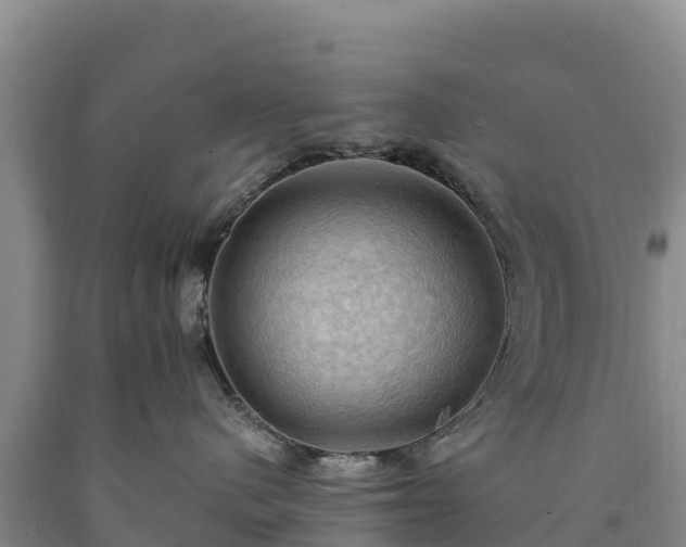 X0000090630480200707241156