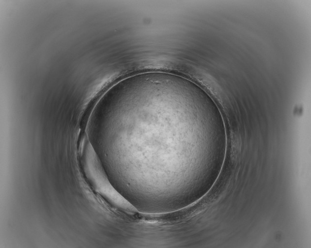 X0000090630482200707241156