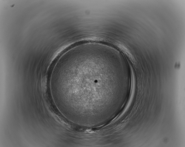 X0000090630484200707241156