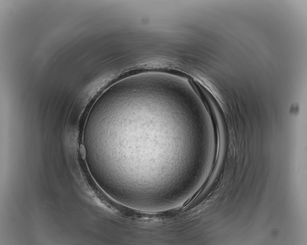 X0000090630485200707241156