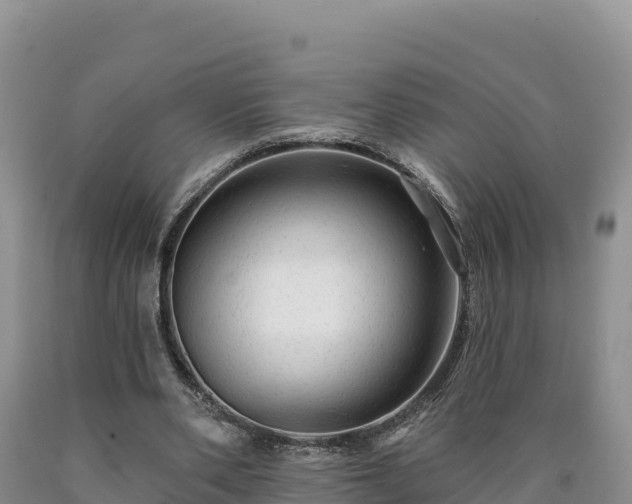X0000090630486200707241156