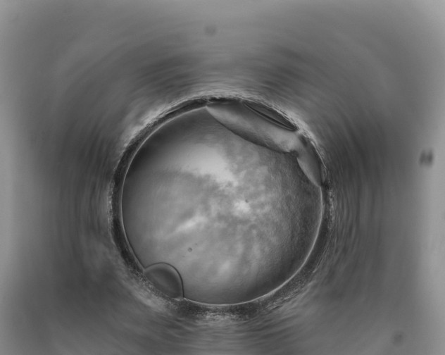 X0000090630487200707241156