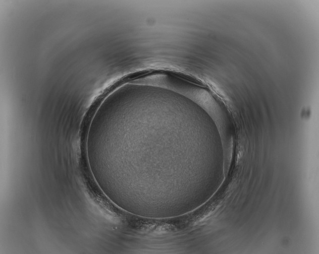 X0000090630488200707241156
