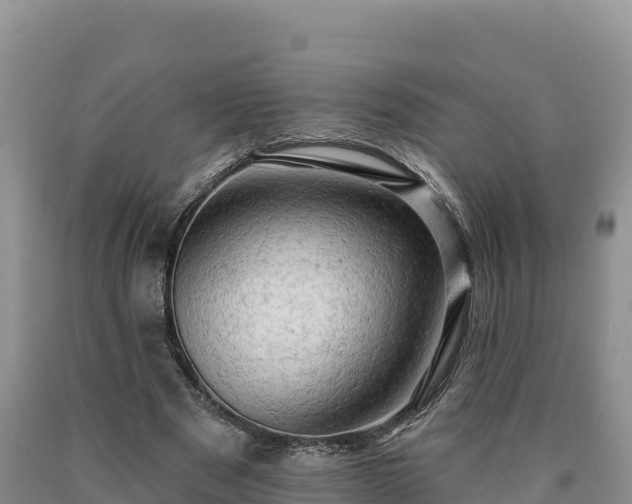 X0000090630489200707241156