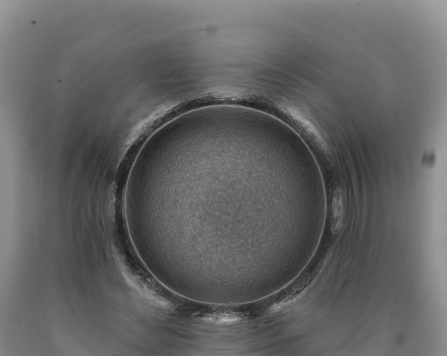X0000090630492200707241156