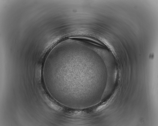 X0000090630493200707241156