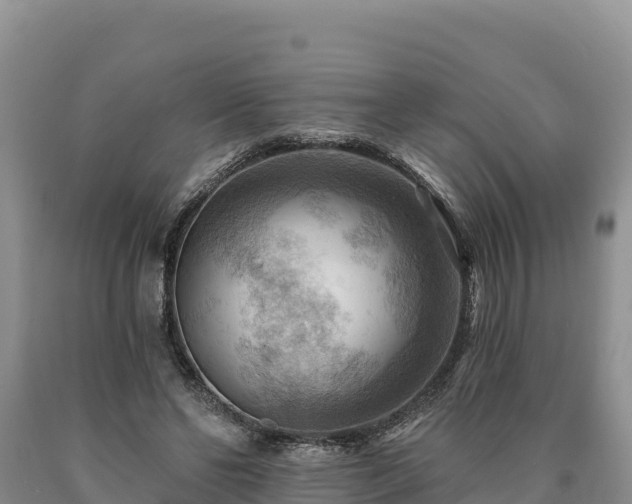 X0000090630494200707241155