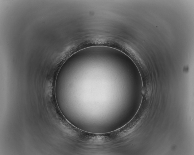X0000090630497200707241155