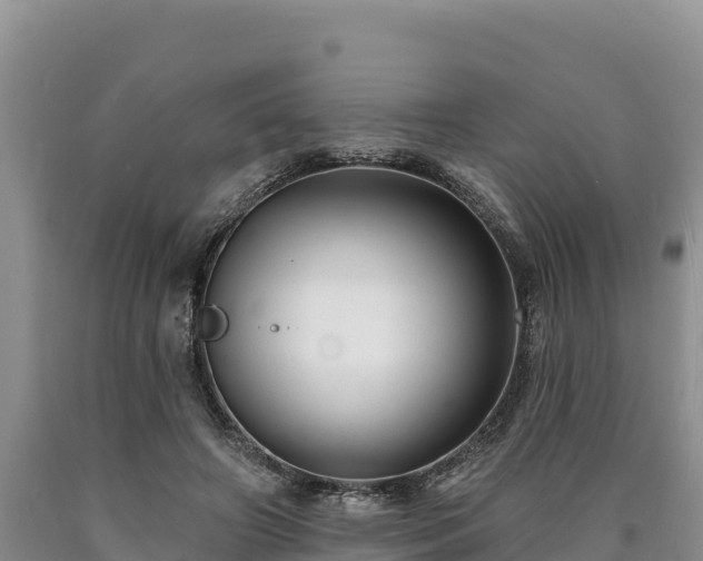 X0000090630498200707241155