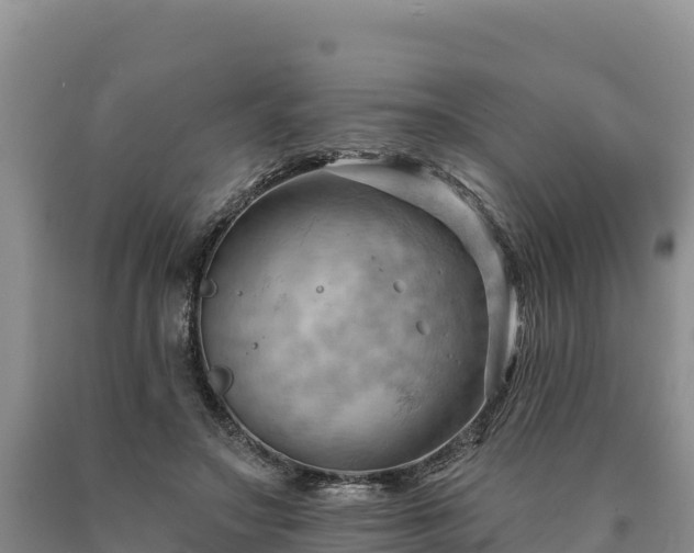X0000090630499200707241155