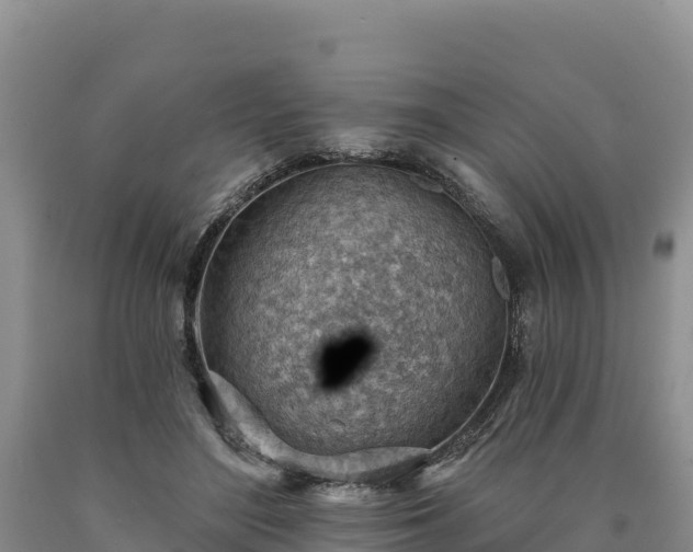 X0000090630500200707241155