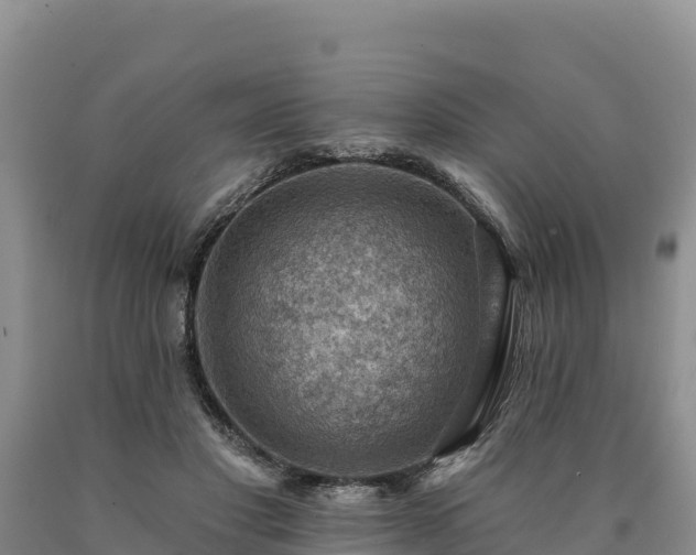 X0000090630501200707241155