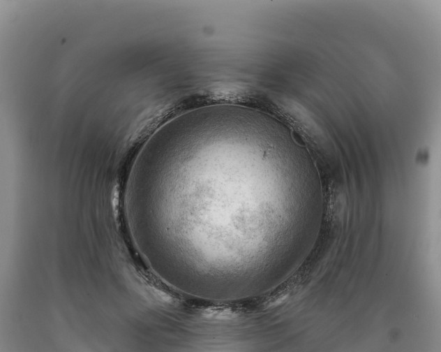 X0000090630502200707241155