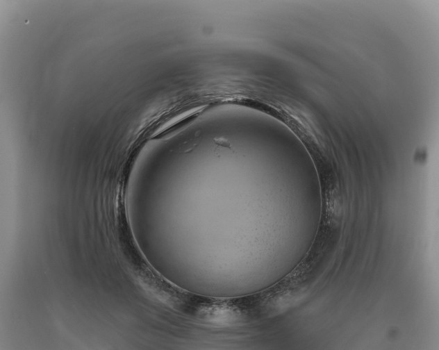 X0000090630503200707241155