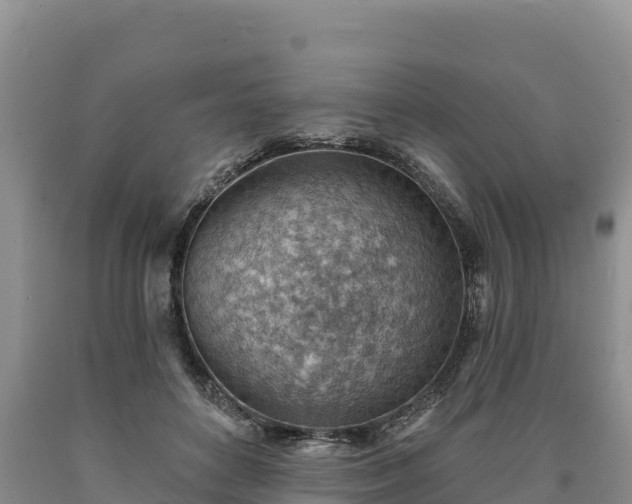 X0000090630504200707241155