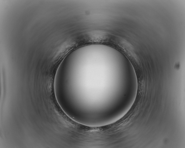 X0000090630505200707241155
