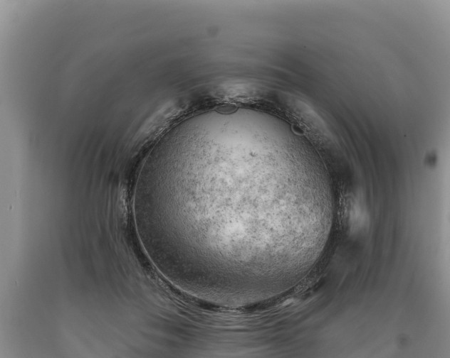 X0000090630506200707241155