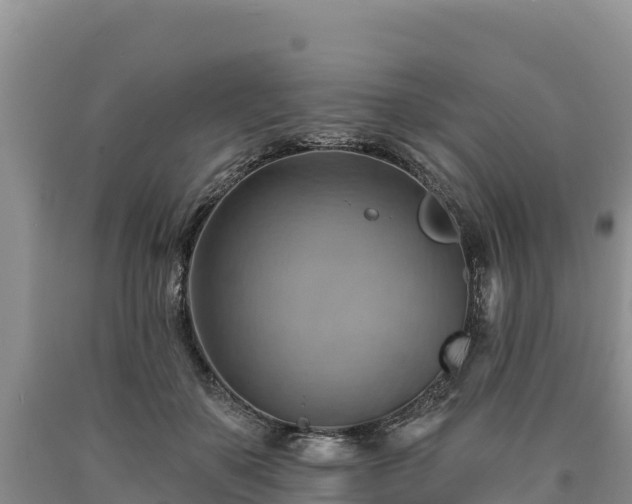 X0000090630507200707241155