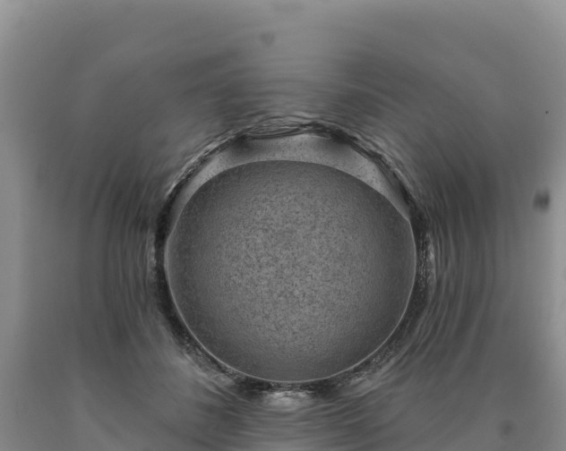 X0000090630508200707241155