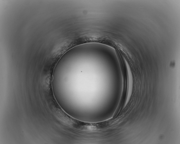 X0000090630509200707241155