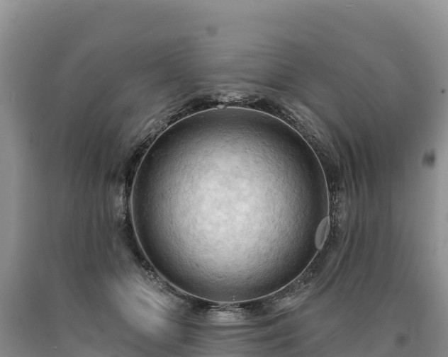 X0000090630510200707241155