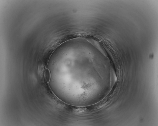 X0000090630511200707241155