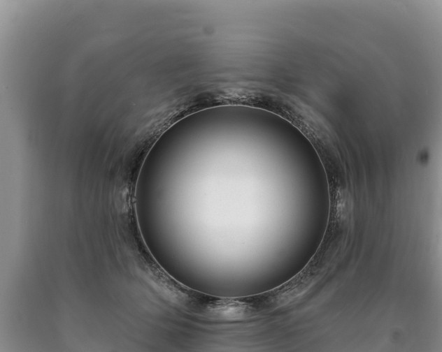 X0000090630514200707241155