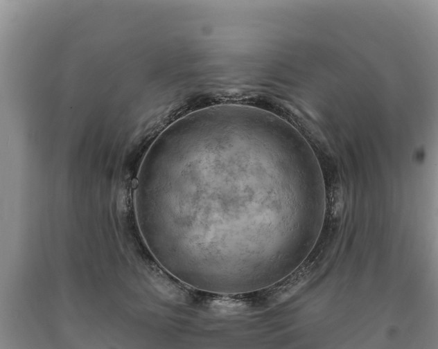 X0000090630515200707241155