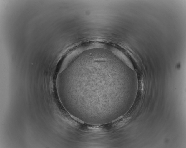 X0000090630516200707241155