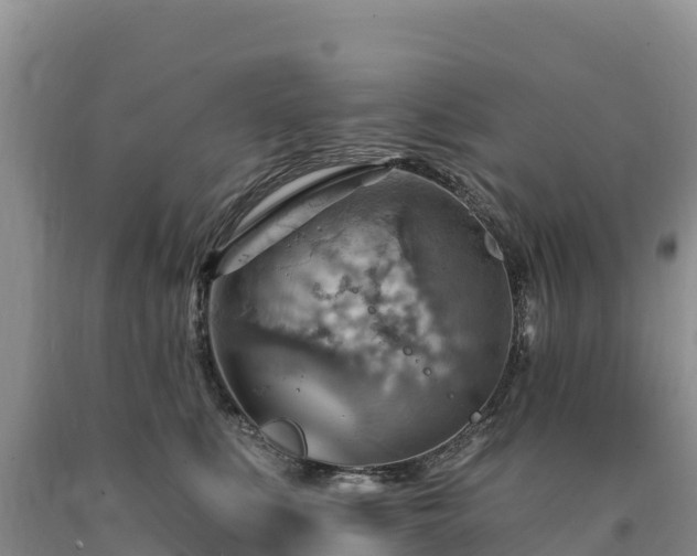 X0000090630519200707241155