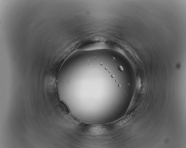X0000090630521200707241155