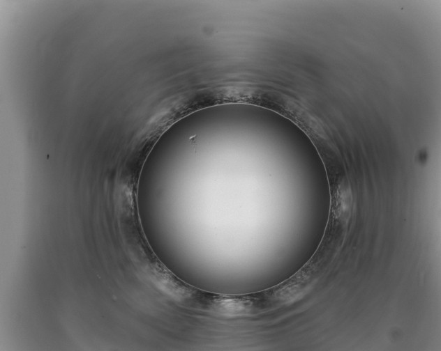 X0000090630522200707241155