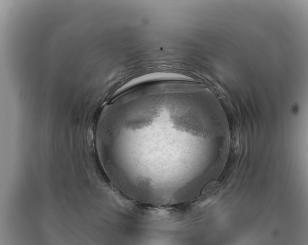 X0000090630523200707241155