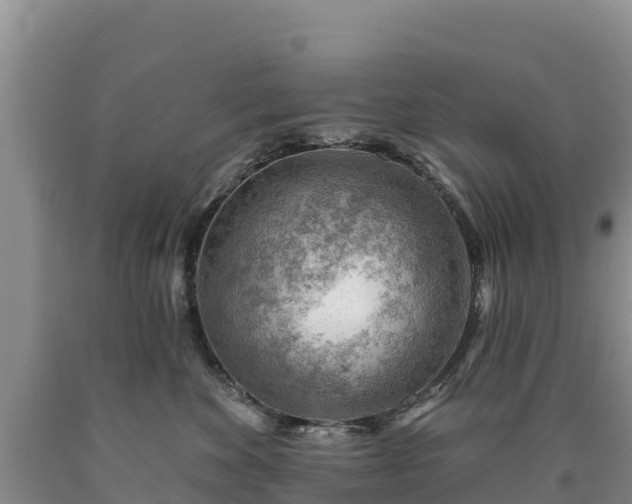 X0000090630524200707241155