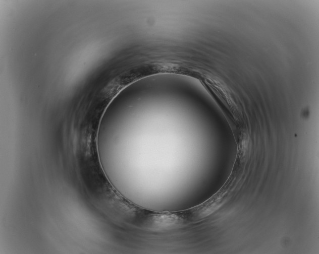 X0000090630525200707241155