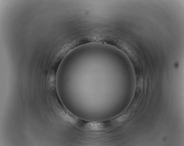 X0000090630526200707241155