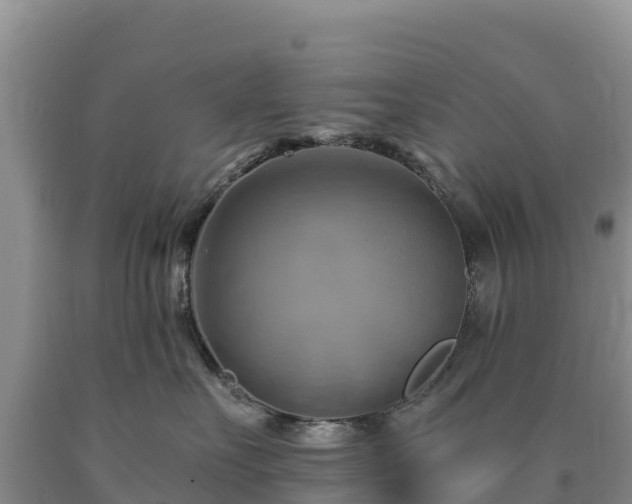 X0000090630527200707241155