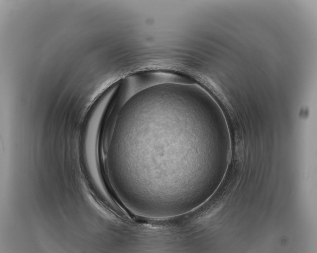 X0000090630530200707241154